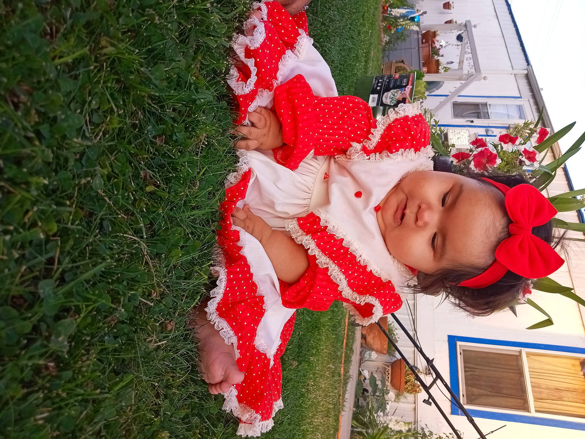 Sarahi joined the competition — help win amazing prizes! baby, baby_toddler_clothing, carmine, christmas, christmas_eve, costume_hat, event, fun, grass, happy, hat, headgear, headwear, holiday, pattern, person, plant, red, santa_claus, toddler