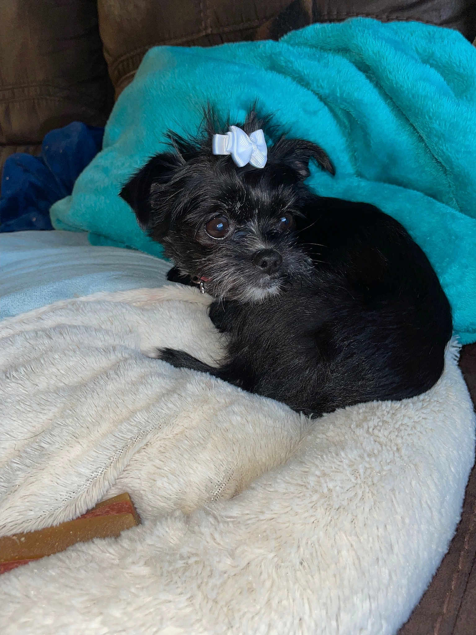 Bella Grace