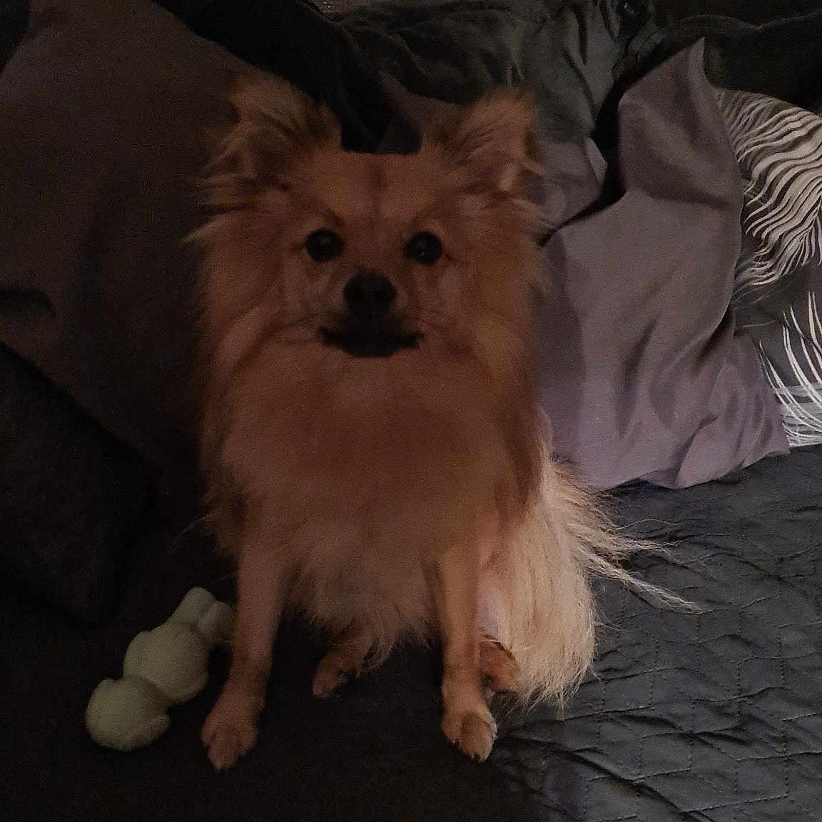 Mimi