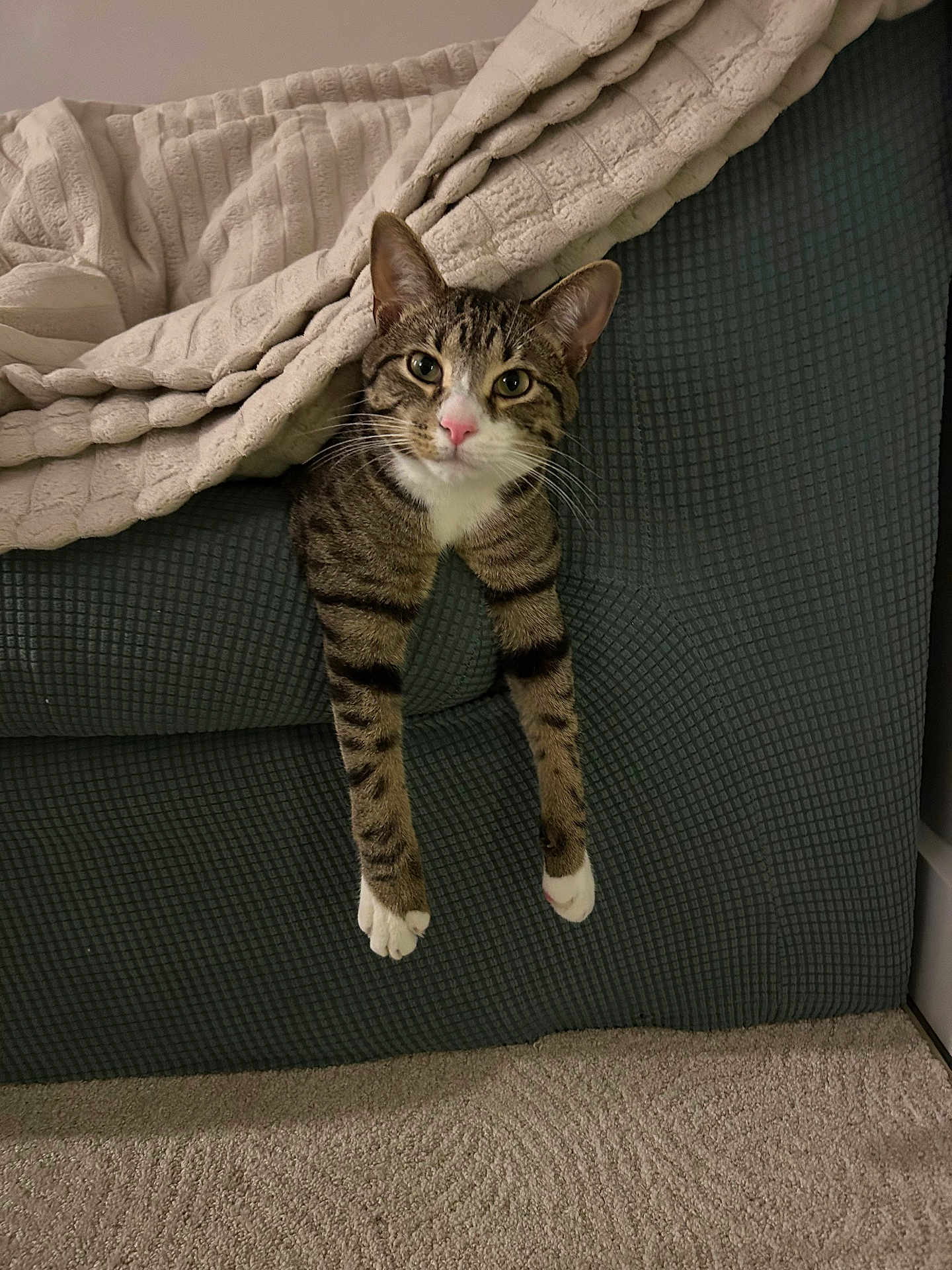 Milo