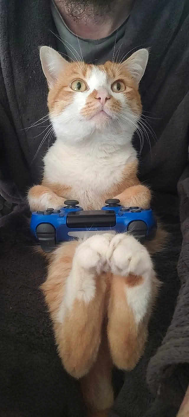 Kira