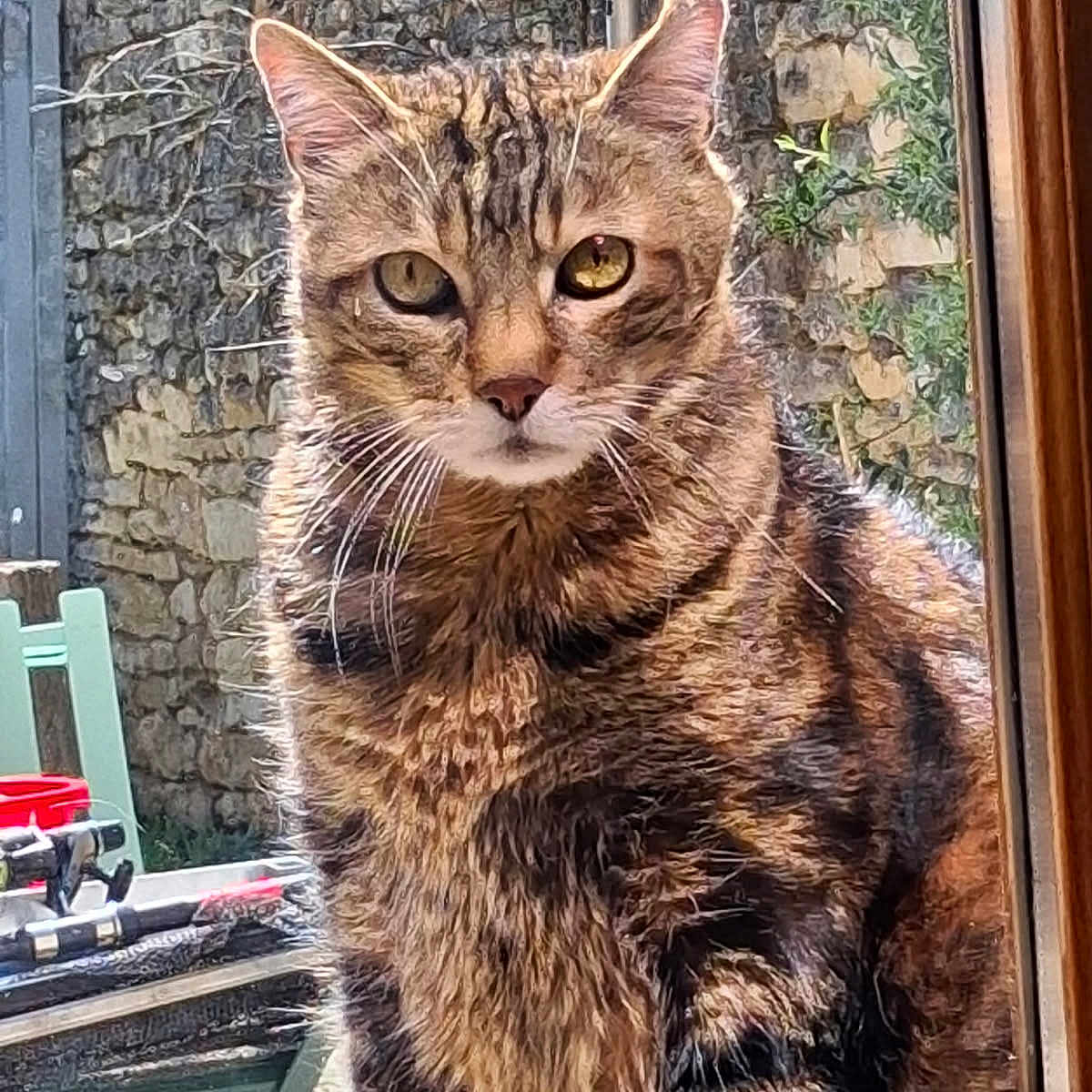 Félix