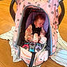 newborn, baby, sleeping, stroller, pink, polka_dot, blanket, harness, indoors, wooden_floor, floral_pattern, infant, seated, peaceful, portrait, child, clothing, carriage, home, nap