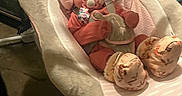 Kaylanna joined the competition — help win amazing prizes! newborn, baby, infant, sleeping, pacifier, bouncer, baby_chair, stuffed_animal, plush_toy, pink_clothing, socks, blanket, indoor, nursery, seated, portrait, face, curly_hair, baby_gear, cozy
