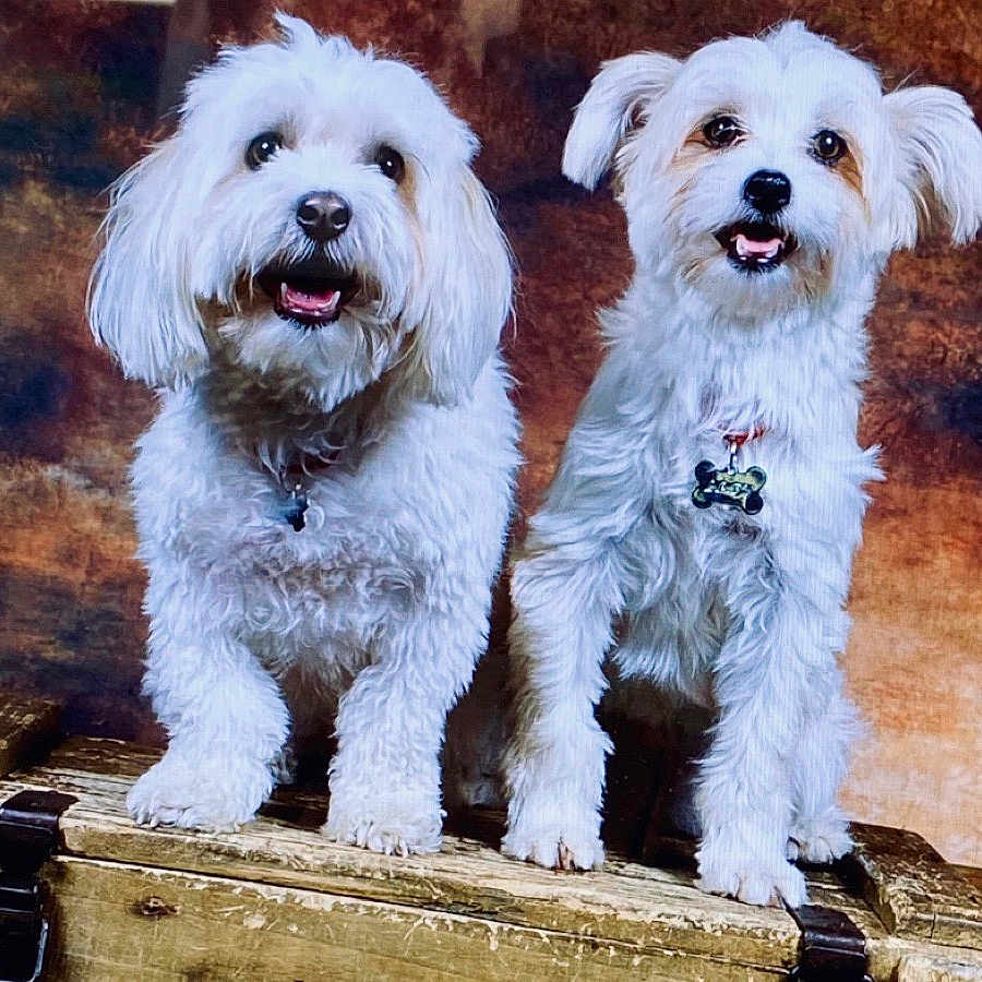 Nina Et Lady