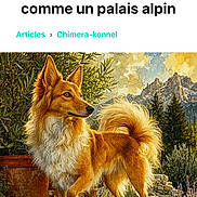 Peanut a rejoint le concours — aidez-le/la à gagner de superbes lots ! dog, canine, fox_like, standing, outdoor, garden, mountains, landscape, plants, flowers, chest, portrait, illustration, digital_art, orange_fur, fluffy_tail, pointed_ears, profile_view, smartphone_screenshot, french_text