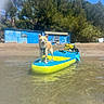 dog, puppy, paddleboard, water, shallow_water, outdoor, beach, lake, river, sunny, trees, forest, blue_sky, blue_building, adventure, standing, wet_fur, harness, recreation, nature