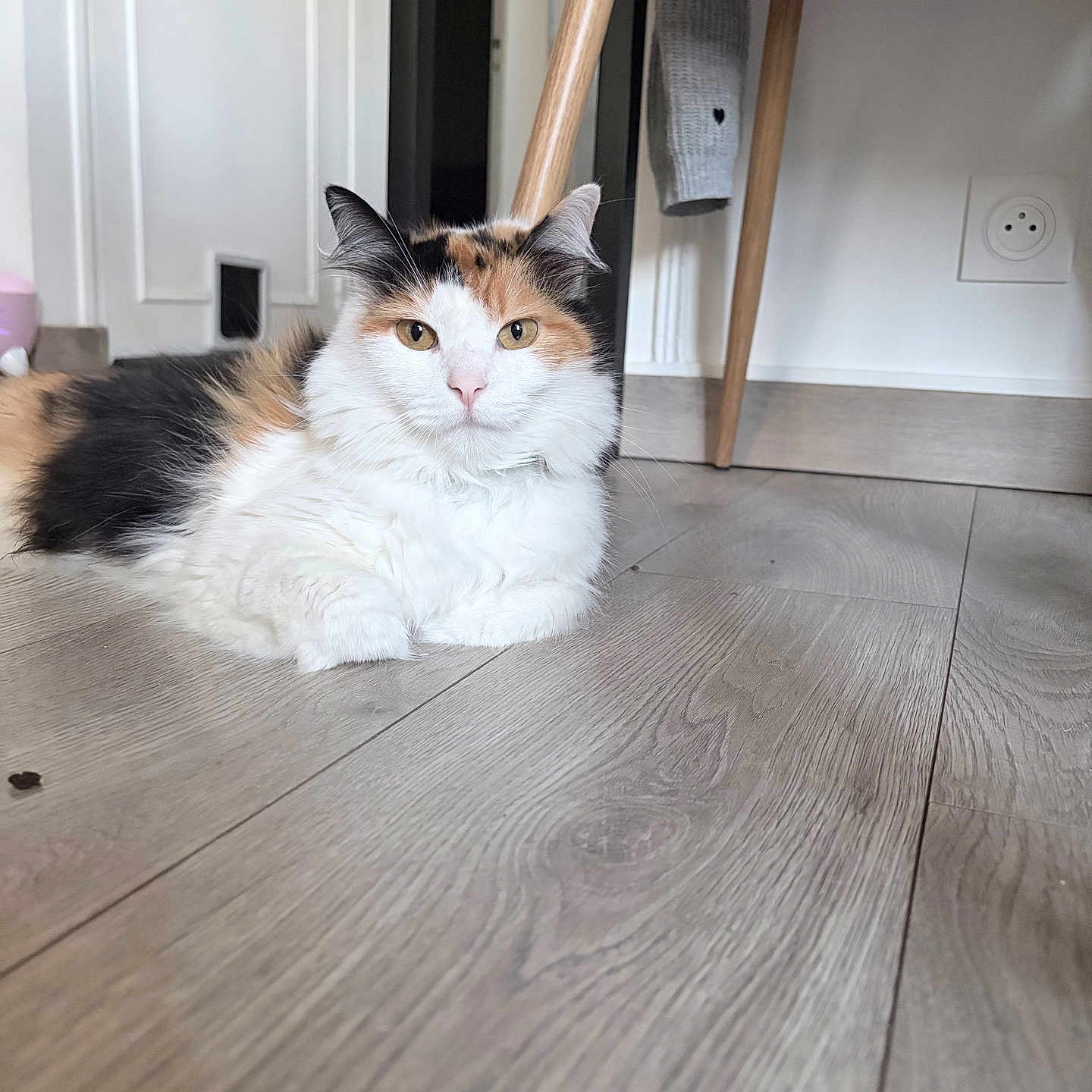 Mystère