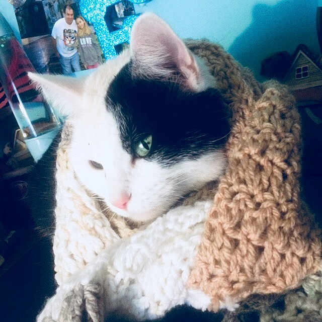Chloe