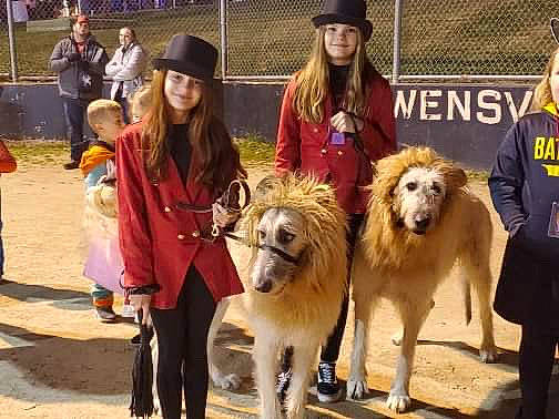 Jackie Blue is registered to the contest to win money with this photo: ancient_dog_breeds, canidae, carnivore, conformation_show, dog, dog_breed, kennel_club, mammal, vertebrate