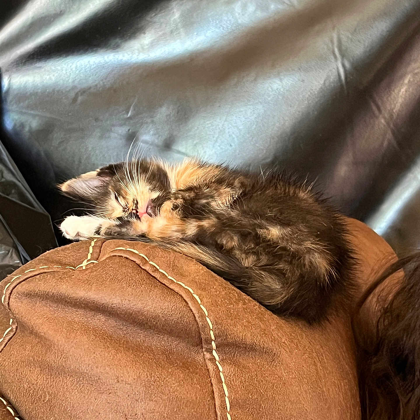 Marley