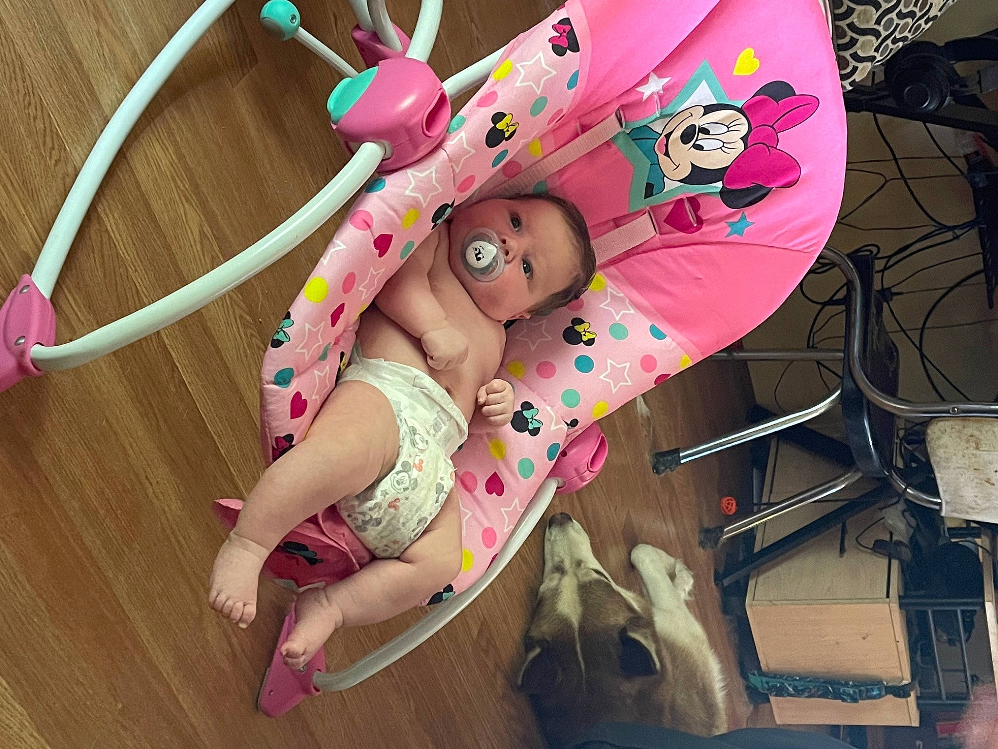 Journey is registered to the contest to win money with this photo: art, event, eyewear, fashion_accessory, font, fun, happy, headband, headgear, headpiece, jewellery, magenta, nail, party_supply, pattern, peach, person, pink, thigh, toy