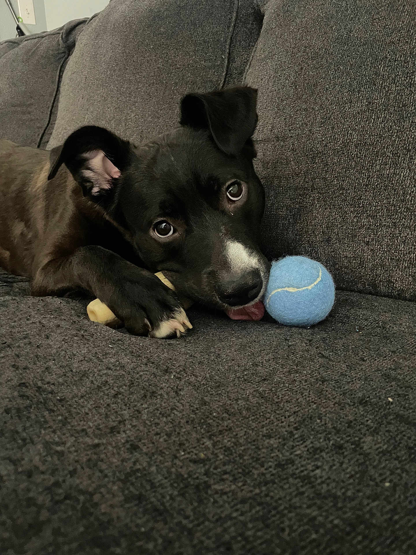 Tucker