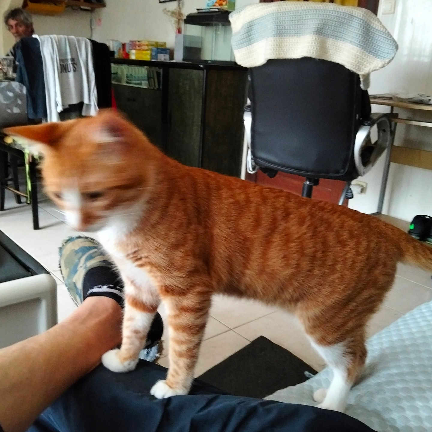 Casimir