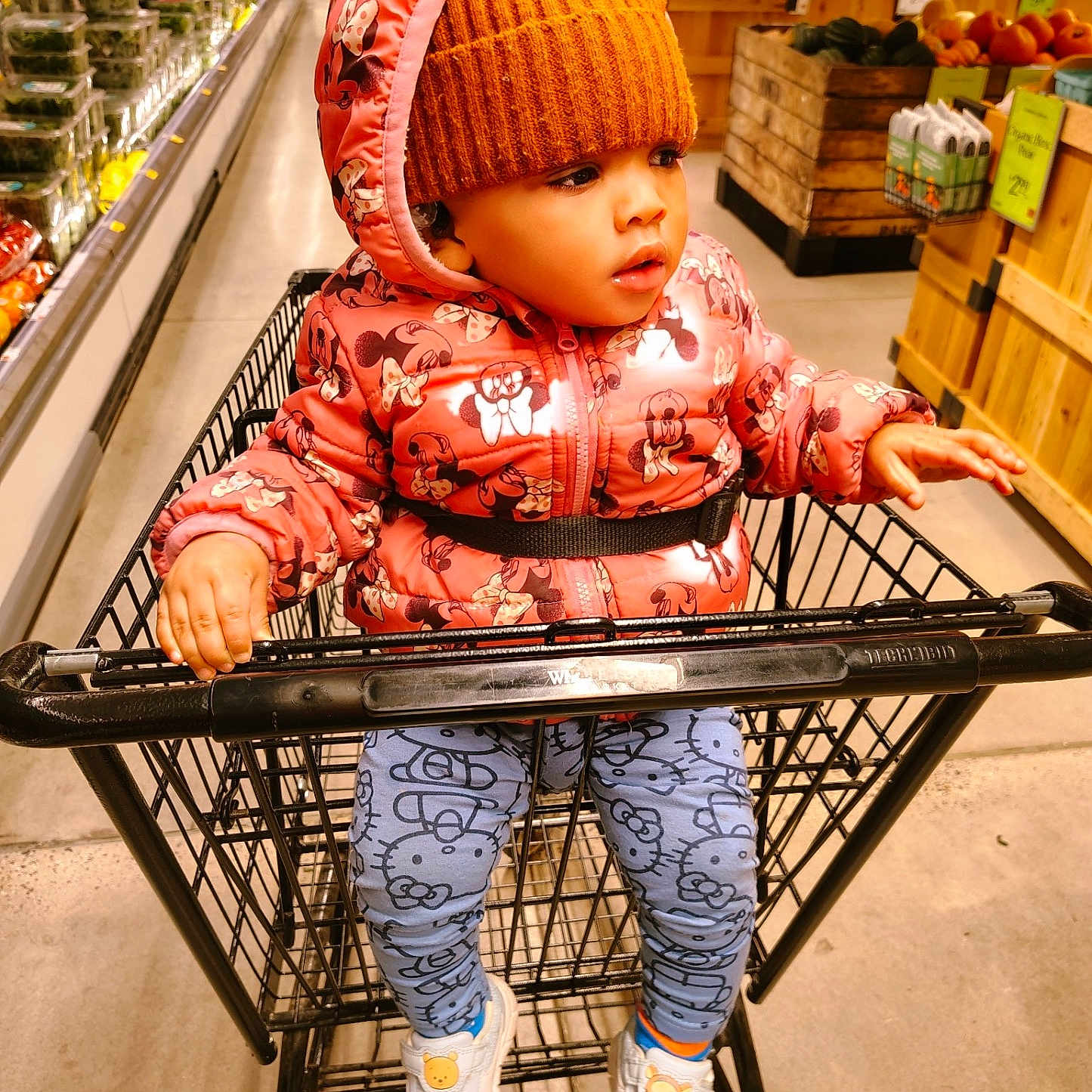 Olivia Joyner is registered to the contest to win money with this photo: child, clothing, curious, cute, footwear, groceries, grocery_store, hat, indoor, jacket, orange, person, pink, produce, seat, shopping_cart, sneakers, toddler, vegetables, winter_wear