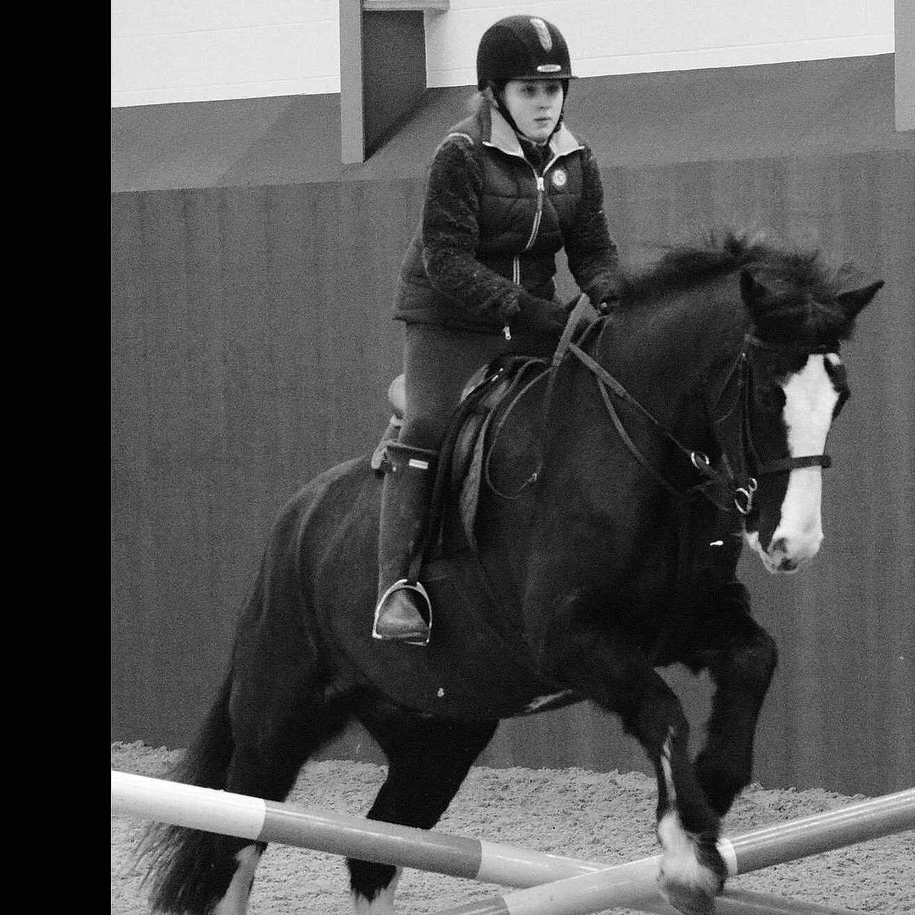 Blu is registered to the contest to win money with this photo: