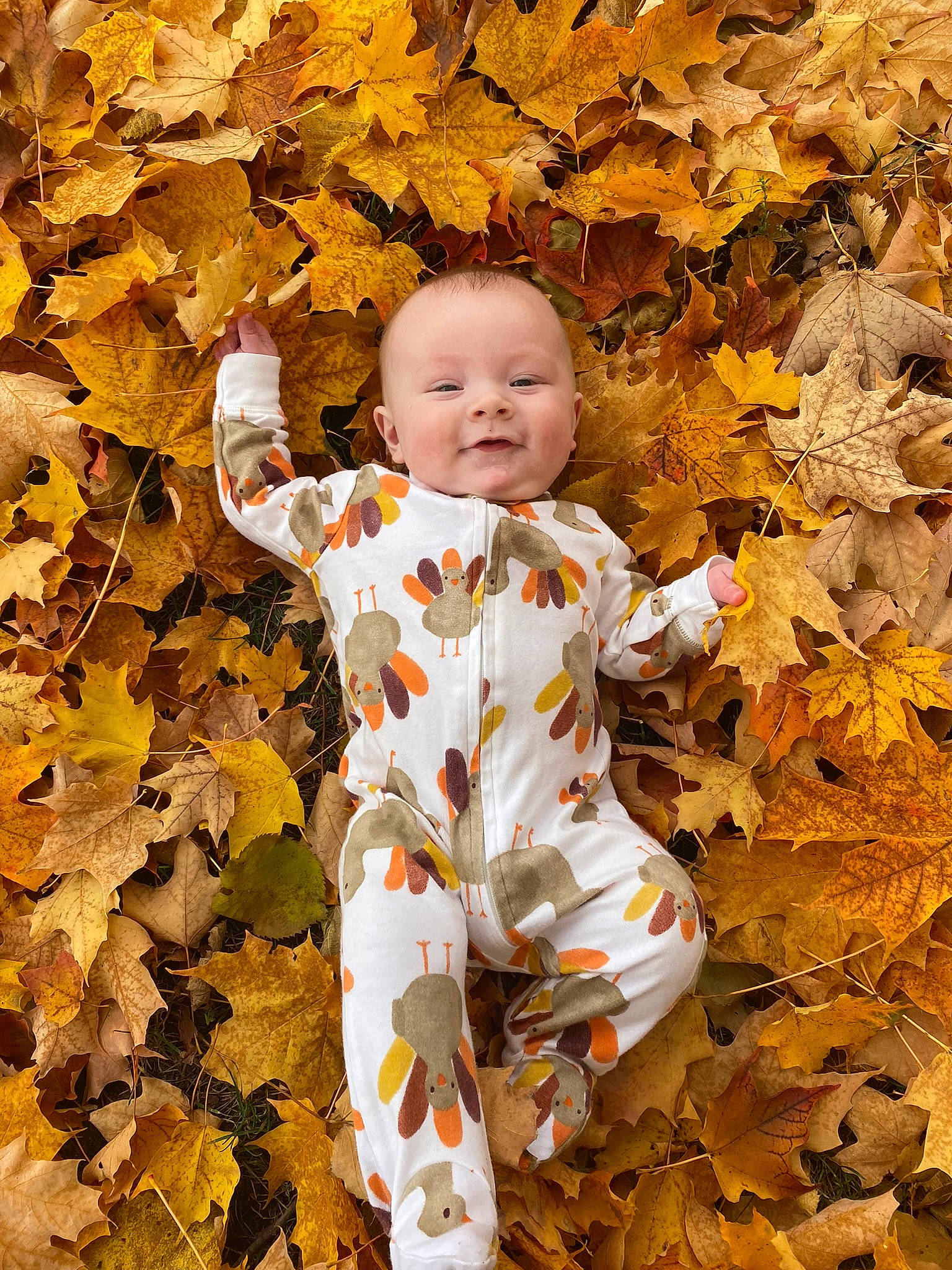 Evan is registered to the contest to win money with this photo: autumn, baby, baby_toddler_clothing, branch, brown, child, deciduous, grass, happy, leaf, orange, people_in_nature, person, playing_with_kids, portrait_photography, smile, tints_and_shades, toddler, tree, wood