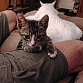 Natasha C.