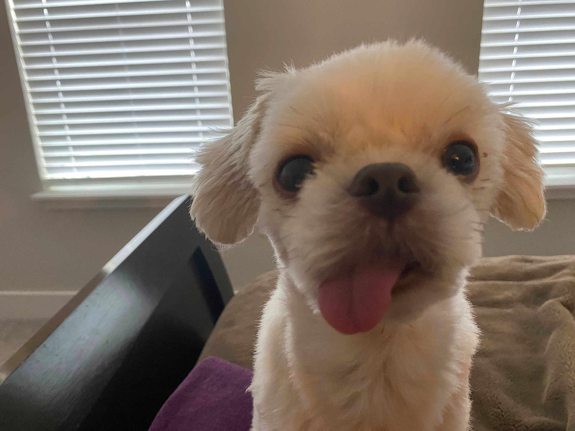 Casper