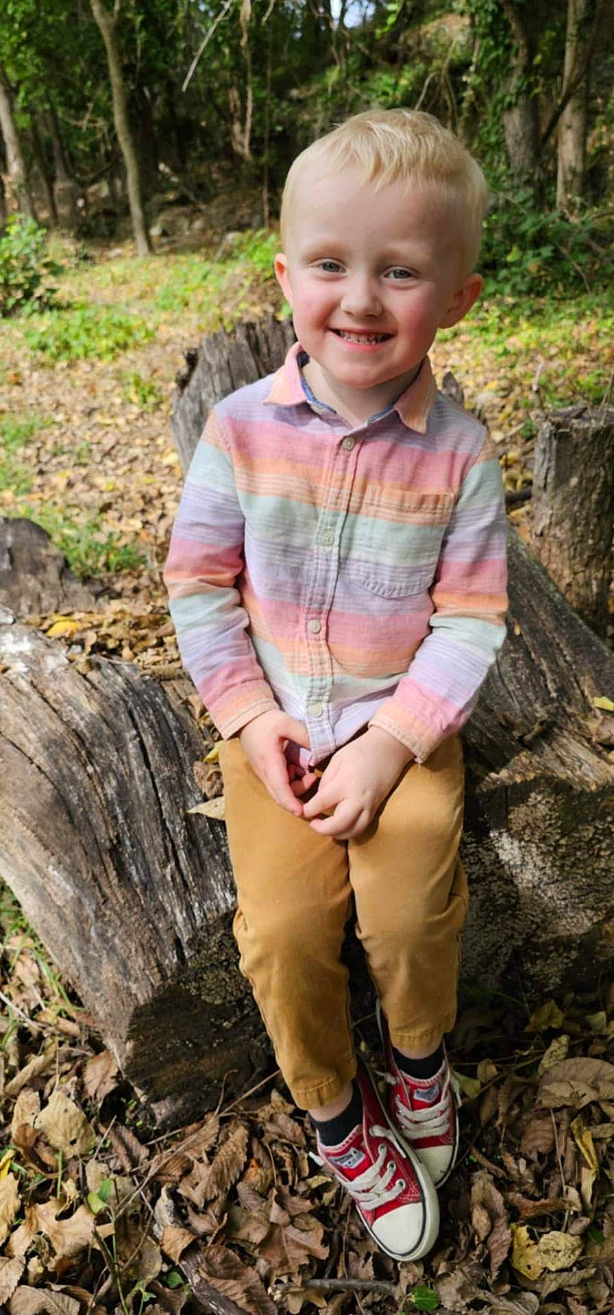 Konnor joined the competition — help win amazing prizes! blonde_hair, boy, casual_clothing, child, daylight, fall, forest, happy, leaves, nature, outdoor, pants, portrait, red_shoes, shirt, shoe_laces, sitting, smiling, tree_stump, young_child