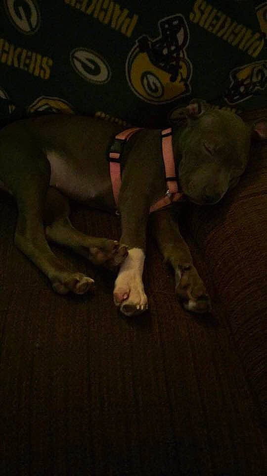 Diamond joined the competition — help win amazing prizes! darkness, night