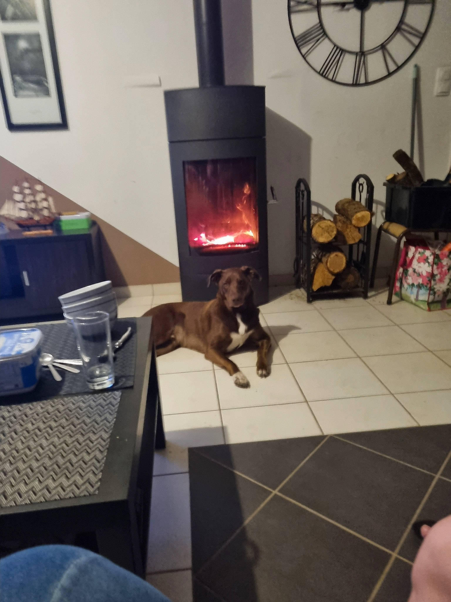 Spike a rejoint le concours — aidez-le/la à gagner de superbes lots ! carnivore, comfort, dog, door, felidae, floor, flooring, gas, hardwood, hearth, heat, interior_design, living_room, major_appliance, picture_frame, room, stove, tableware, wood, wood_burning_stove