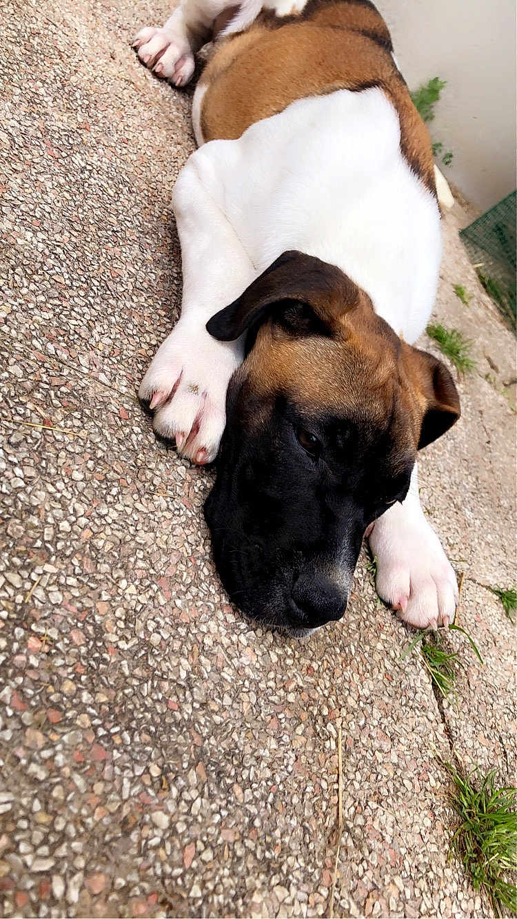 Ares