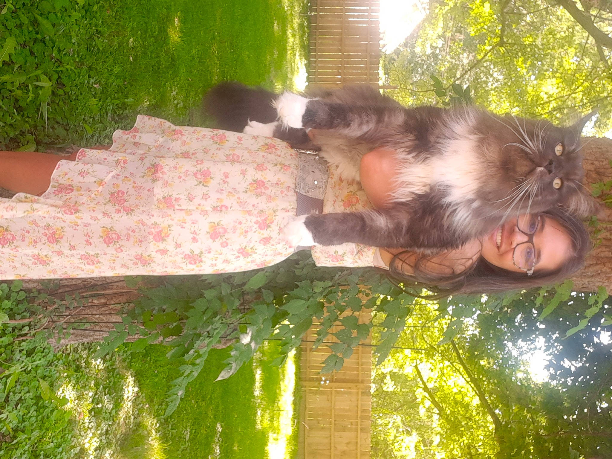 Romeo is registered to the contest to win money with this photo: botany, fur, grass, green, nature, organism, plant, tail, terrestrial_animal, tree, trunk, wildlife, window, wood, woody_plant