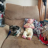 Chelsea is registered to the contest to win money with this photo: baby, infant, child, dog, pet, armchair, blanket, indoor, home, sitting, lying_down, yellow_outfit, smiling, portrait, cozy, furniture, clutter, storage_bins, window, toy