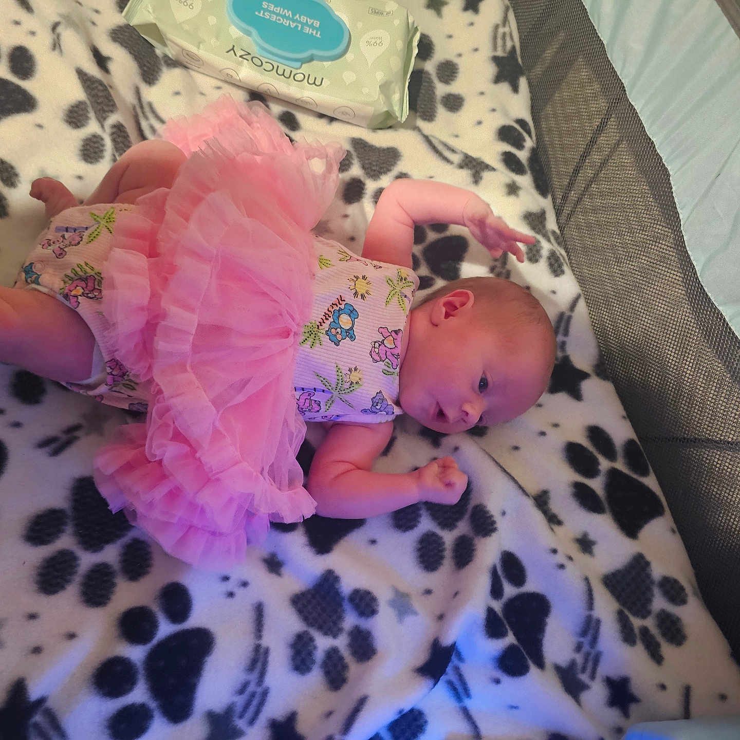 Chelsea is registered to the contest to win money with this photo: baby, infant, pink_tutu, blanket, paw_prints, playpen, baby_wipes, clothing, lying_down, cute, small, newborn, indoors, soft, infant_garment, resting, child, toddler, sleep_area, comfort