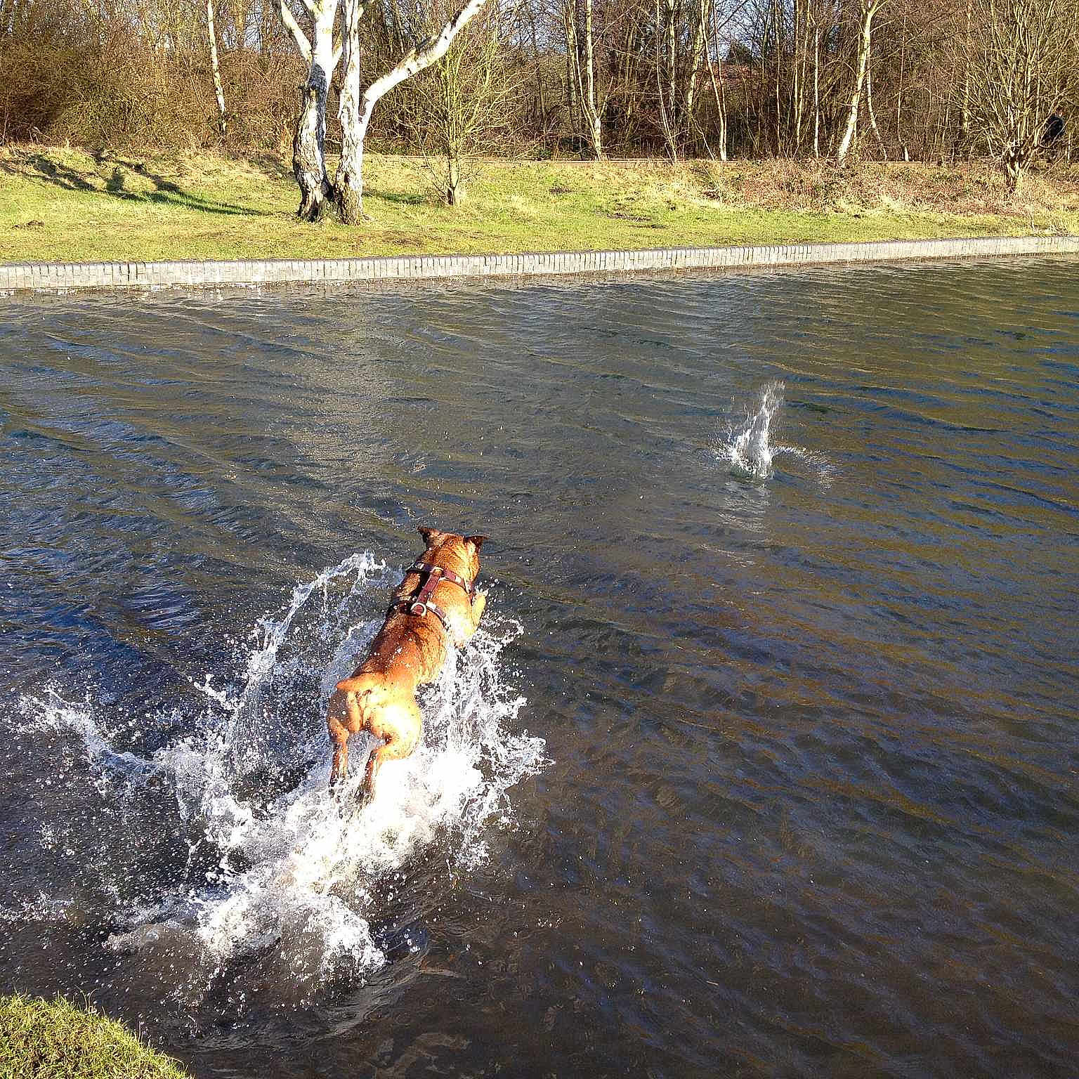 Buster joined the competition — help win amazing prizes!