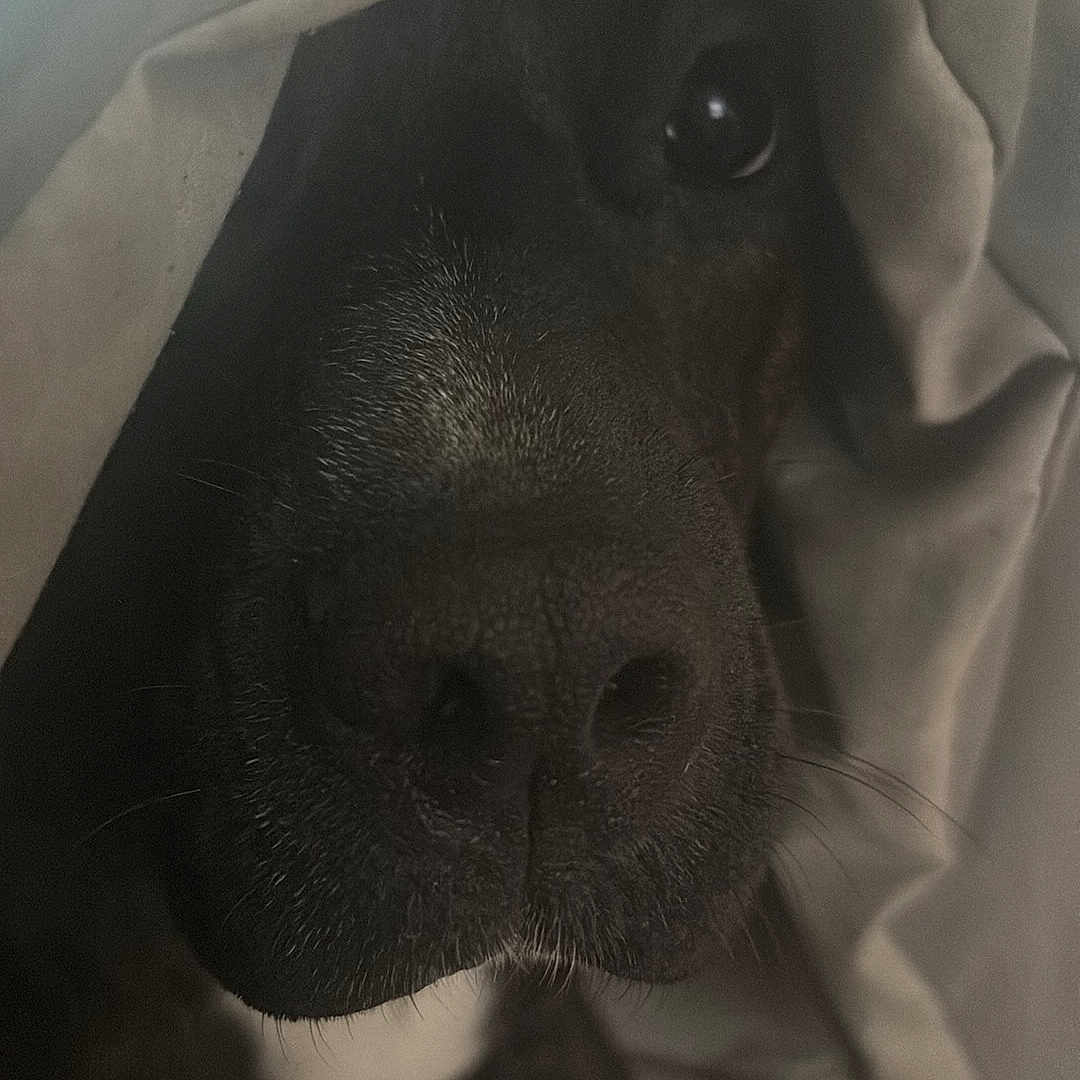 Axle