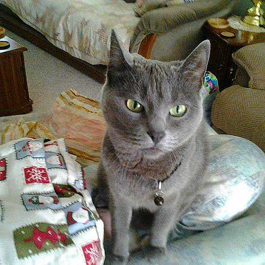 Precious