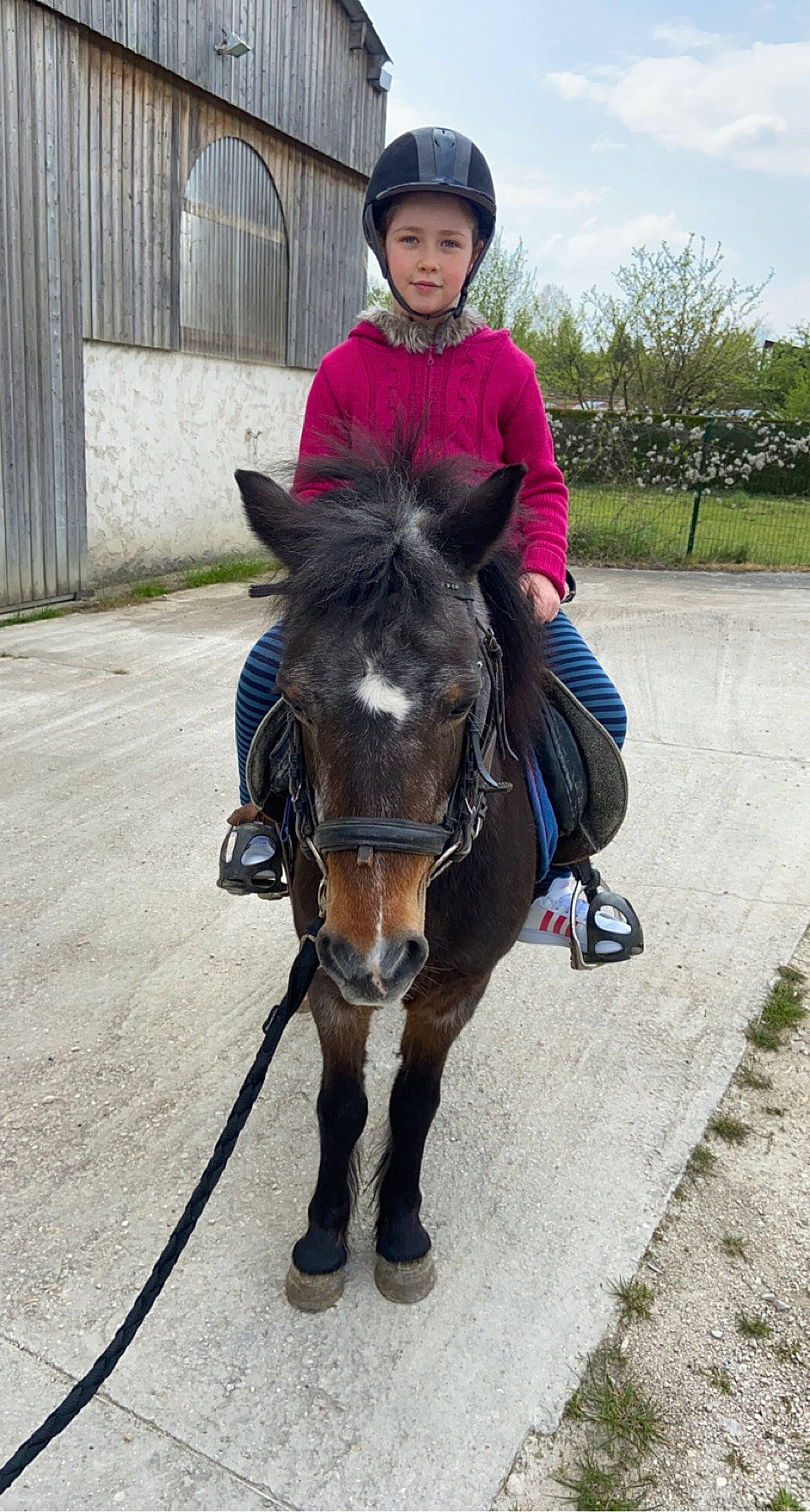 Mélissa participe au concours pour gagner de l'argent avec cette photo : animal_sports, bit, bridle, equestrian_sport, equestrianism, headwear, helmet, horse, horse_supplies, horse_tack, livestock, mane, mare, pack_animal, person, plant, recreation, rein, saddle, snout