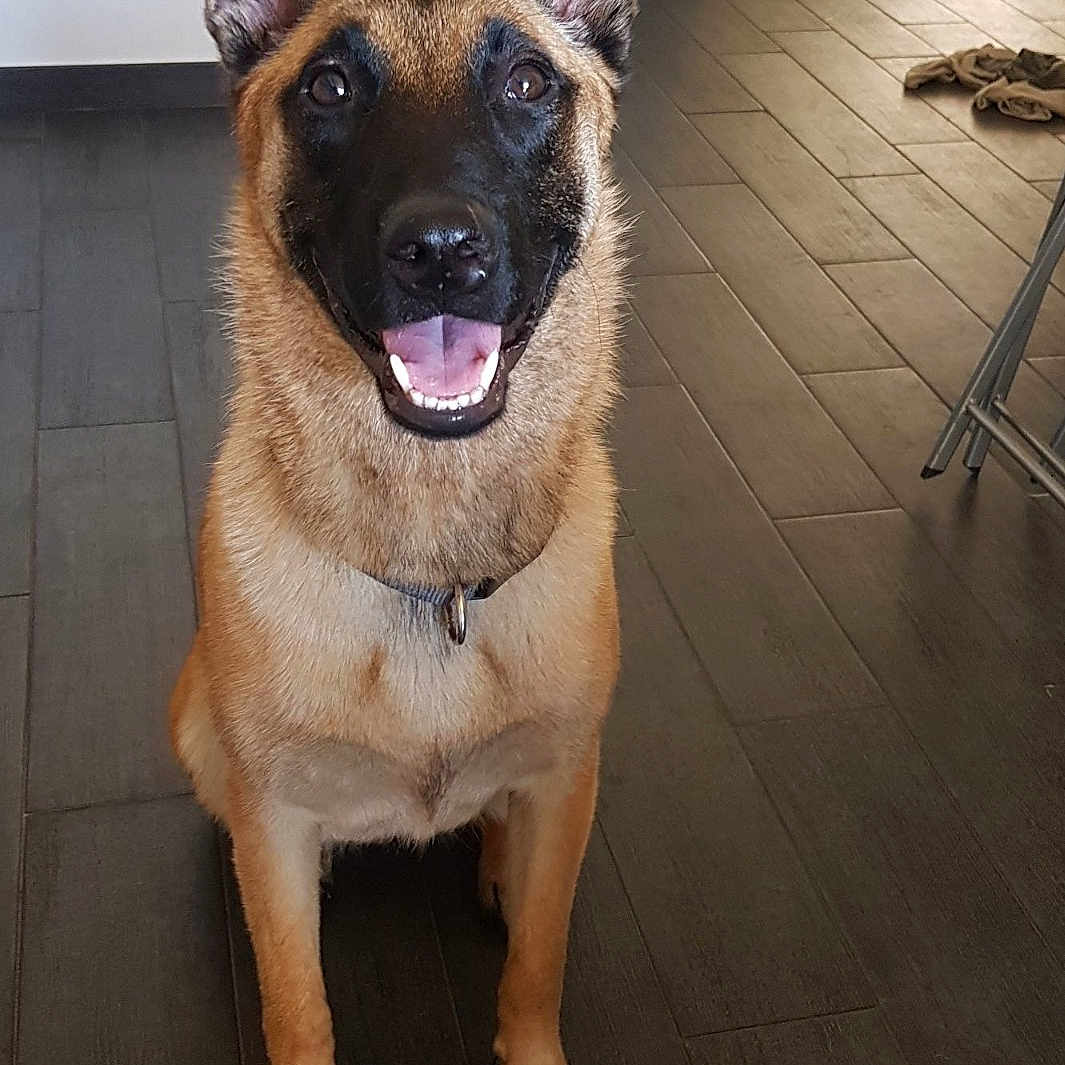 Orka De L'élite Du Masque Noir