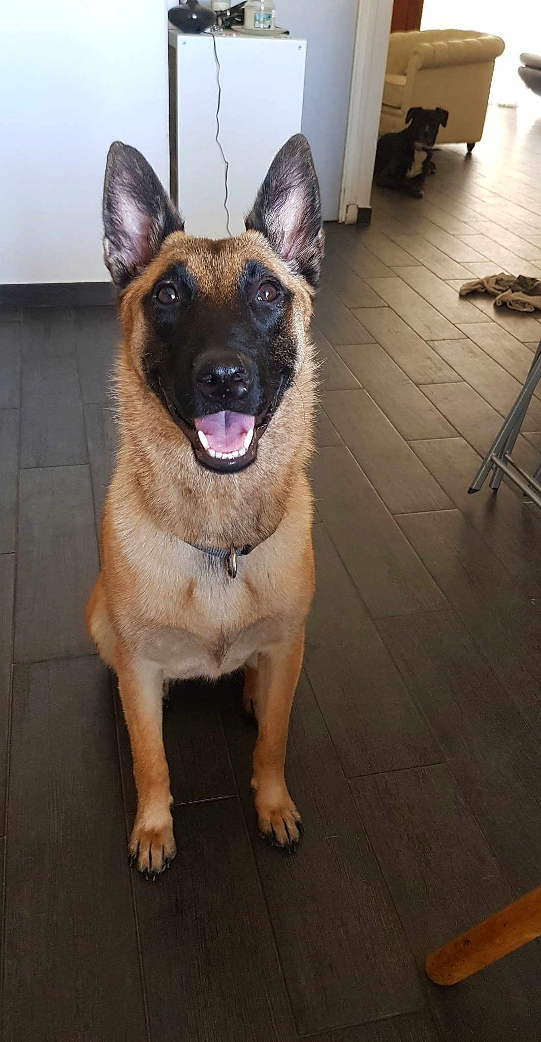 Orka De L'élite Du Masque Noir