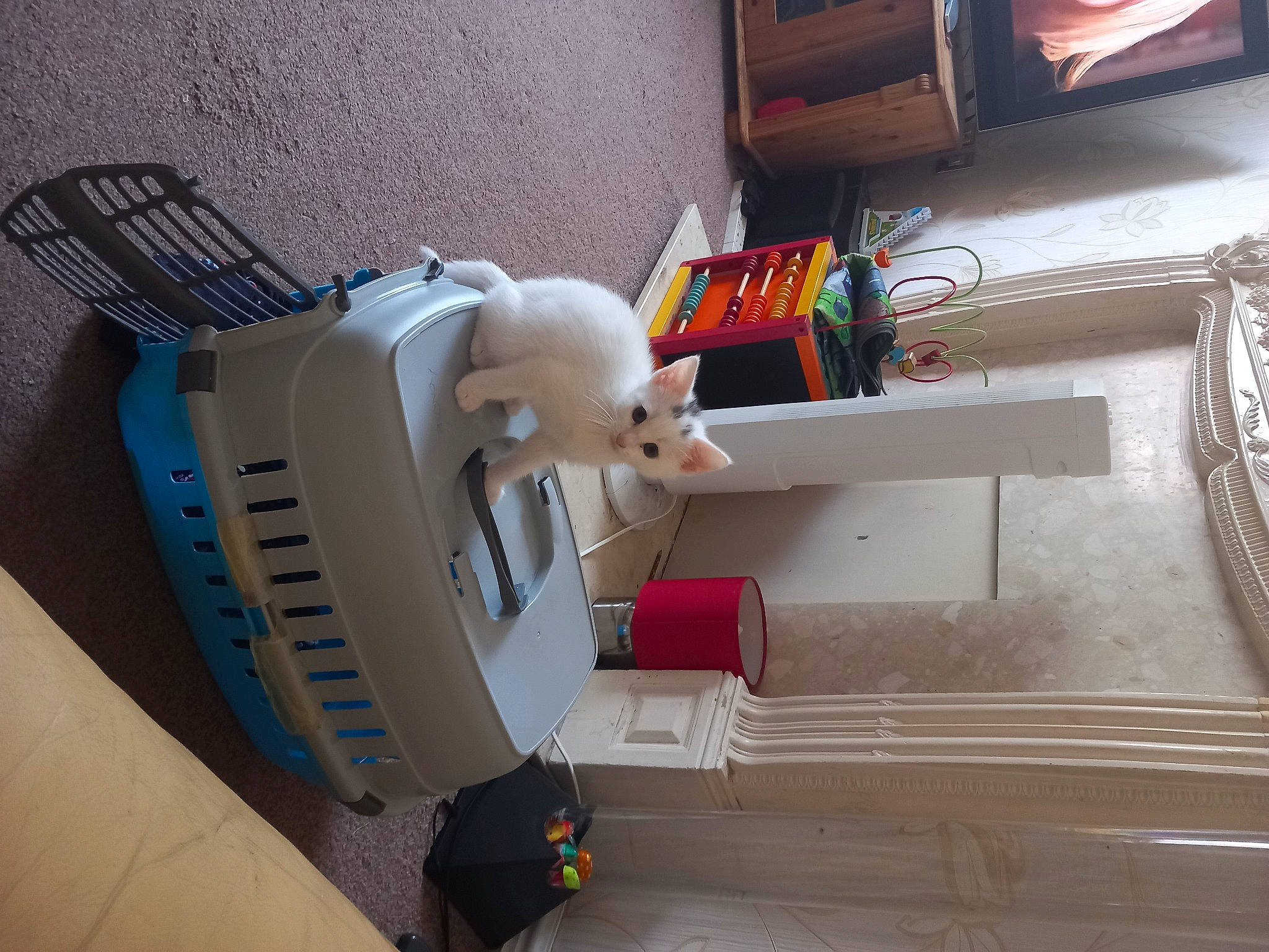 Dash is registered to the contest to win money with this photo: electrical_wiring, flooring, hardwood, house, machine, picture_frame, room, shelving, stairs, toy, wood