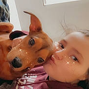Luna is registered to the contest to win money with this photo: person, dog, selfie, indoors, hoodie, brown_dog, face, sparkle_filter, window, casual, cute, pet, closeup, expression, cuddle, young_adult, hair, warm_light, relaxed, friendship