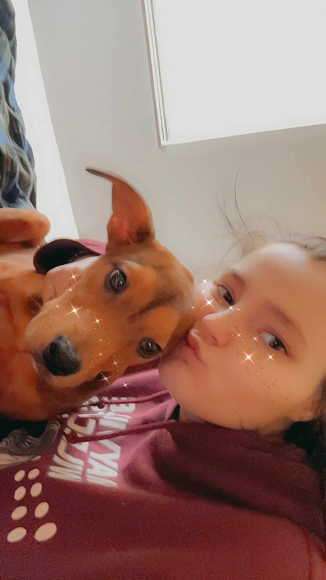 Luna is registered to the contest to win money with this photo: person, dog, selfie, indoors, hoodie, brown_dog, face, sparkle_filter, window, casual, cute, pet, closeup, expression, cuddle, young_adult, hair, warm_light, relaxed, friendship