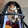 Arlo joined the competition — help win amazing prizes! baby, stroller, stuffed_animal, toy, blanket, autumn, leaves, pavement, clothing, curly_hair, socks, child, outdoor, cute, infant, portrait, walking, cozy, bundle, expression