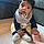 Arlo