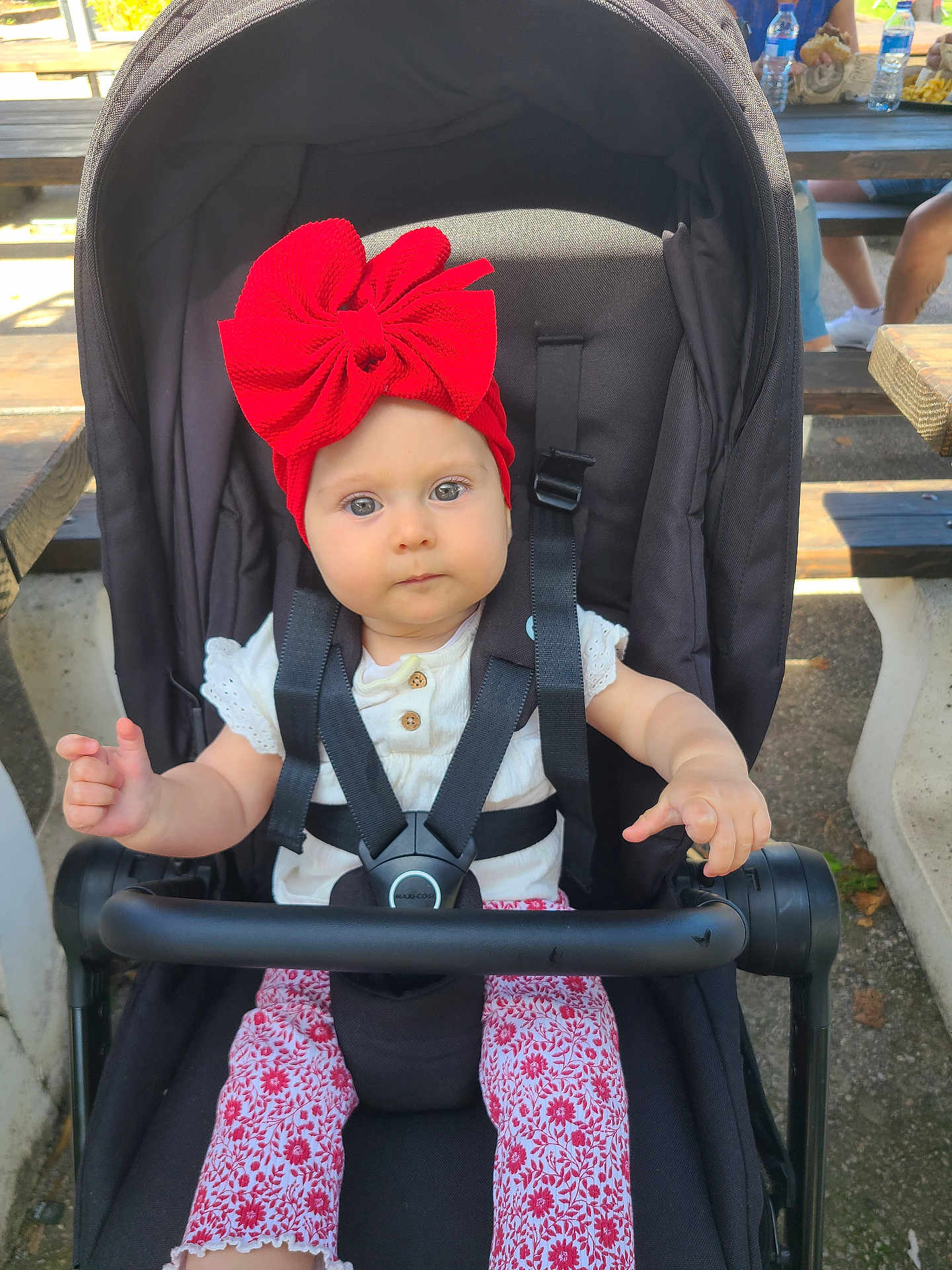 Agathe participe au concours pour gagner de l'argent avec cette photo : baby, child, stroller, red_bow, headband, outdoor, picnic_table, infant, seat_belt, white_shirt, patterned_pants, curious, sitting, daylight, people, casual, summer, park, bench, cute