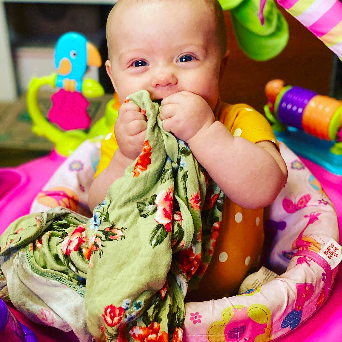 Jaycie joined the competition — help win amazing prizes! baby, baby_products, baby_toddler_clothing, baby_toys, cheek, child, dress, eating, finger, food, lip, neck, nose, person, play, product, sitting, skin, textile, toddler