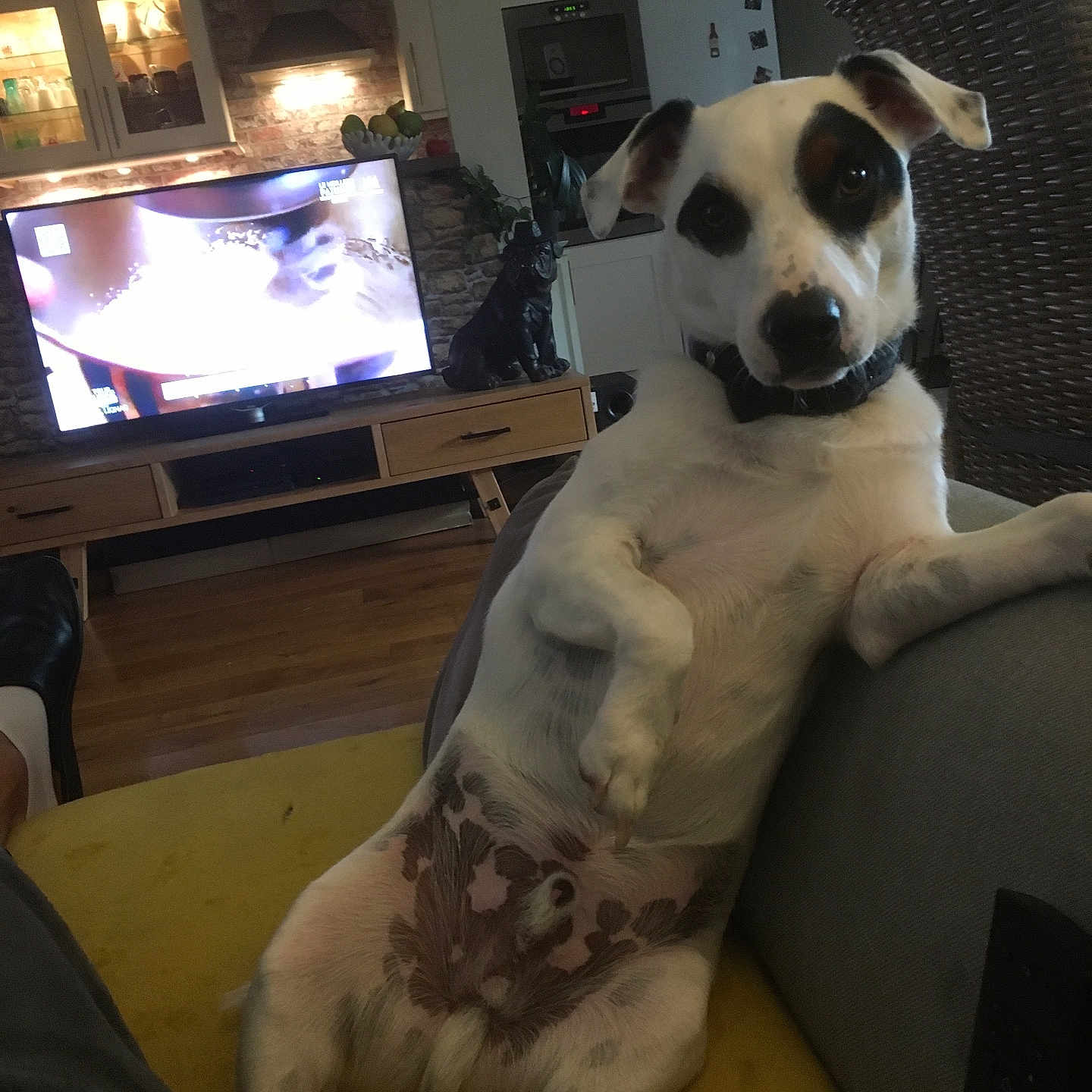 Jack