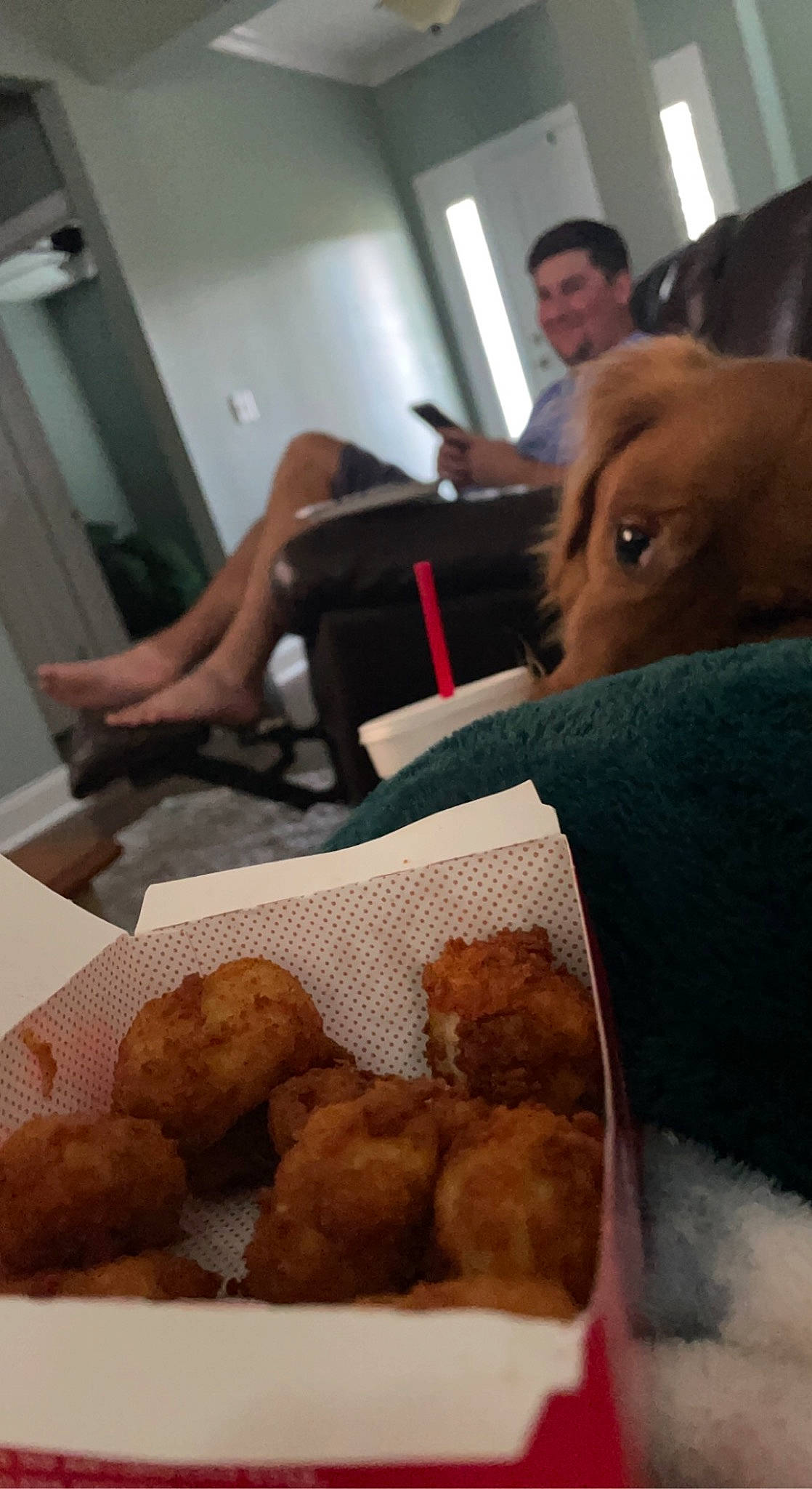 Church joined the competition — help win amazing prizes! arancini, carnivore, comfort, companion_dog, cooking, cuisine, deep_frying, dish, dog, fast_food, food, fried_food, fritter, ingredient, karaage, korokke, pakora, produce, recipe, sicilian_cuisine