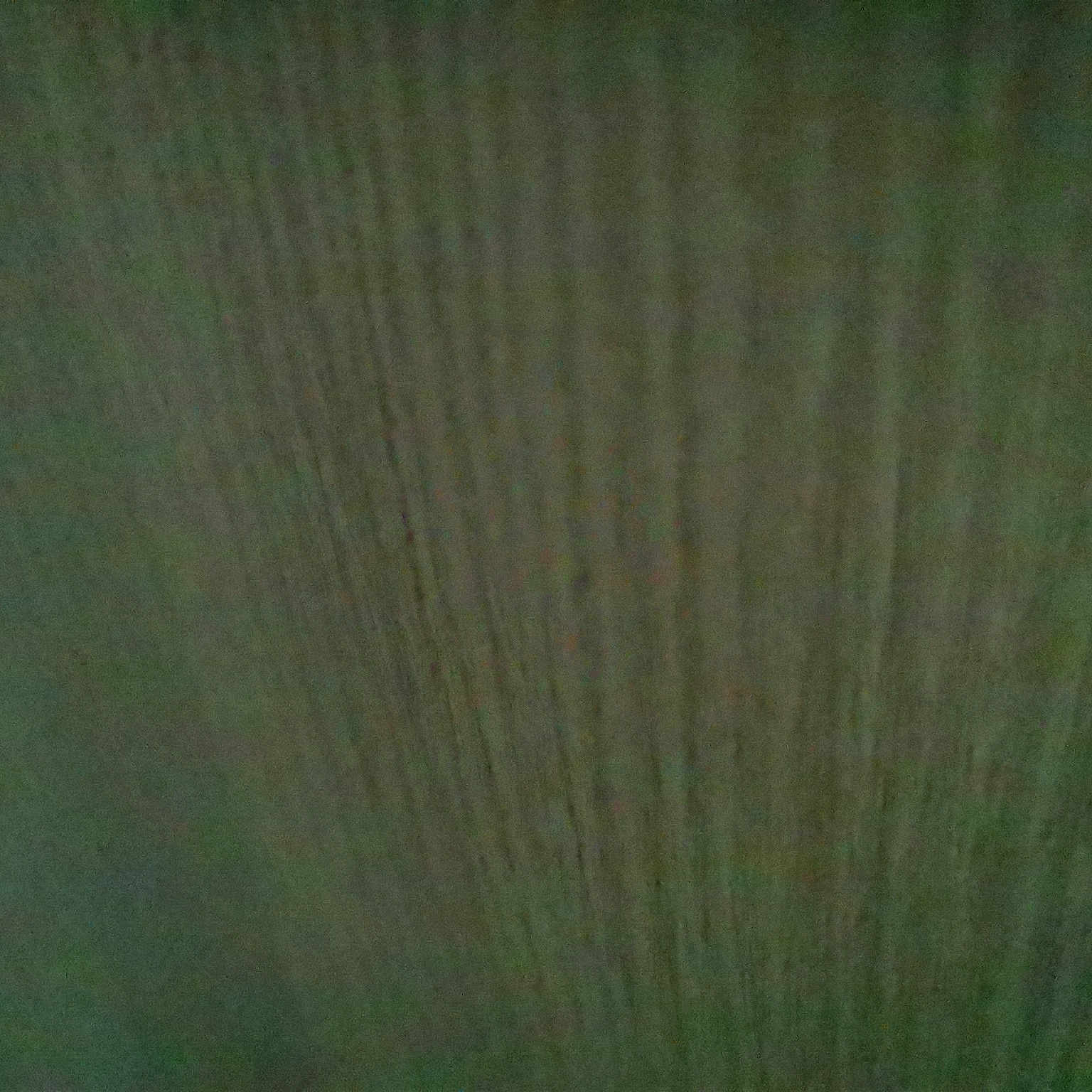 Sema participe au concours pour gagner de l'argent avec cette photo : brown, ceiling, darkness, flooring, hardwood, pattern, peach, plant, symmetry, terrestrial_plant, tints_and_shades, wood, wood_stain