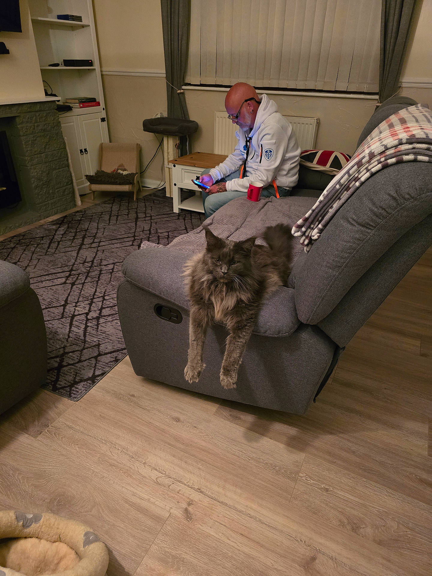 Loki joined the competition — help win amazing prizes! bald, blanket, cat, cozy, curtains, furniture, glasses, gray_cat, indoor, living_room, mug, person, phone, recliner, rug, sitting, sofa, table, window, wood_floor