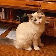 Athena is registered to the contest to win money with this photo: