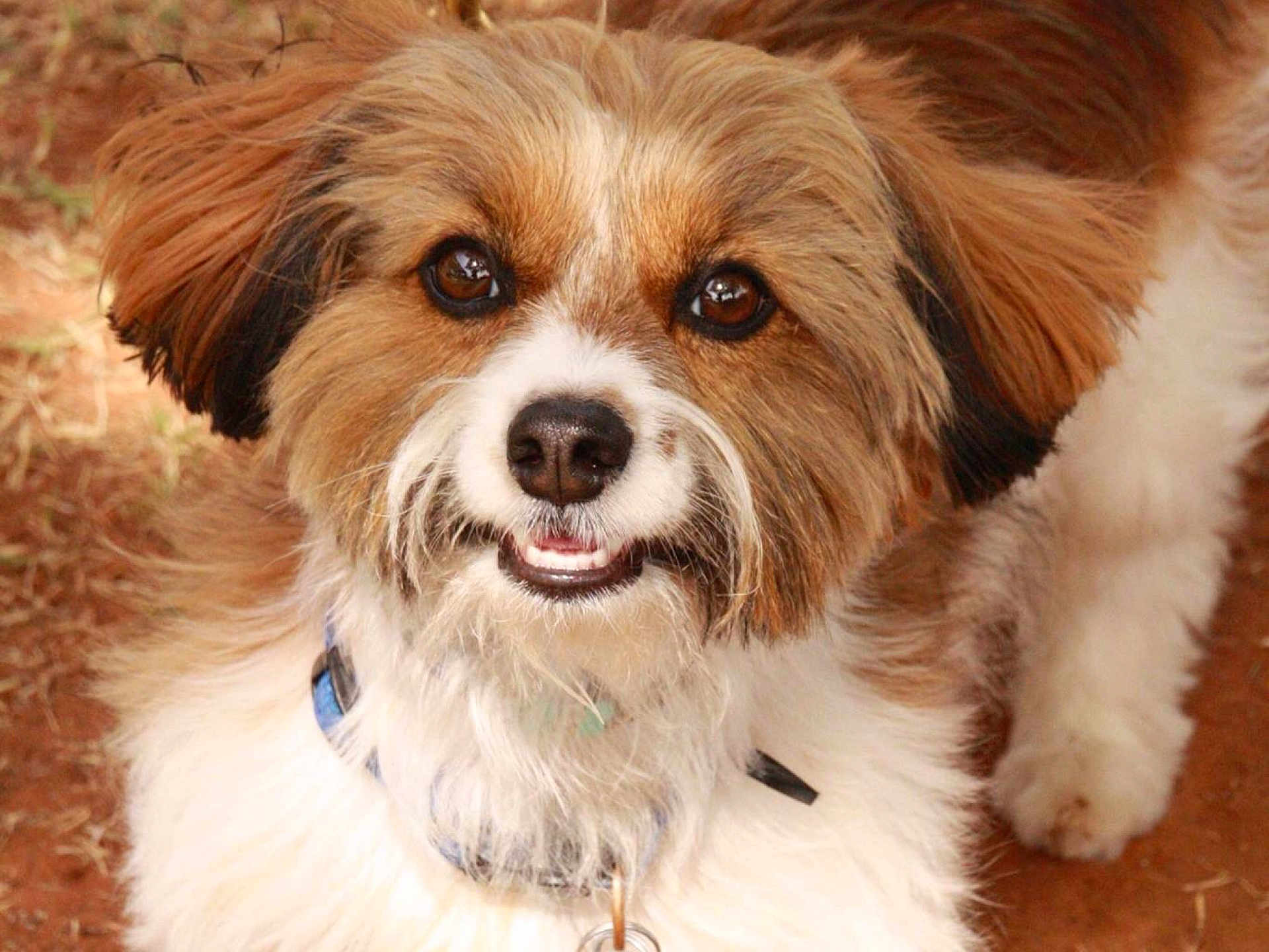 Benny