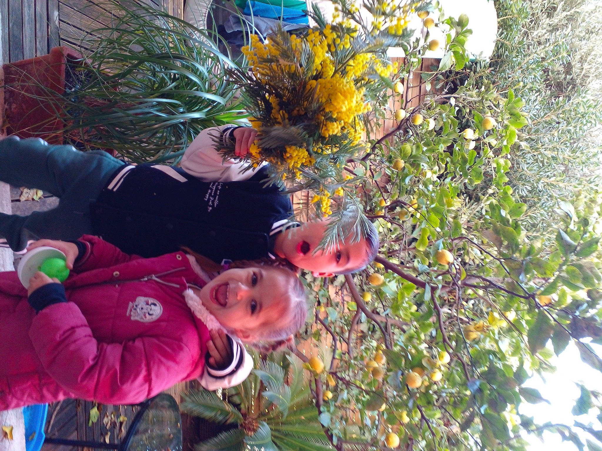 Louna participe au concours pour gagner de l'argent avec cette photo : botany, event, flower, flowering_plant, fun, happy, hat, leisure, orange, organism, person, plant, spring, tree, window, woody_plant